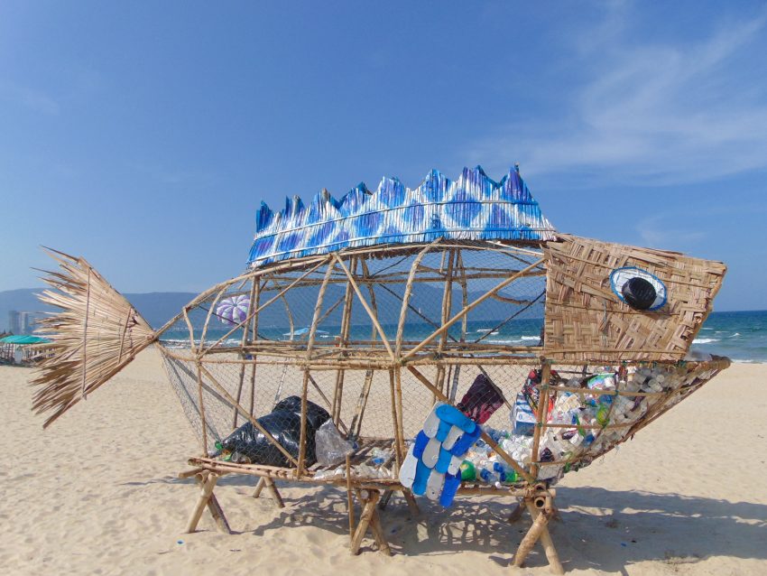 Mô hình “cá bống xin rác” tại biển Đà Nẵng